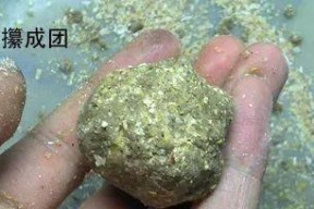 钓鱼技巧与饵料配制办法（钓鱼技巧与饵料配制，提高钓鱼成功率的秘诀）