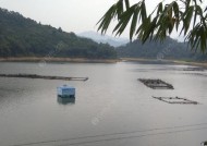 肥水塘出水口钓鱼技巧有哪些？如何提高钓鱼成功率？