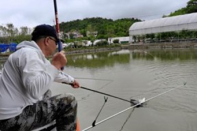 城市河道冬季钓鱼技巧有哪些？如何提高冬季钓鱼成功率？