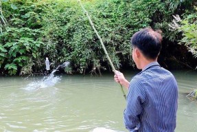 钓鱼新招，竹竿神技巧（打破常规）