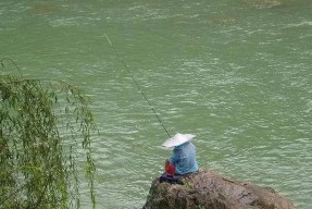 河坝水库钓鱼技巧（掌握钓鱼技巧）