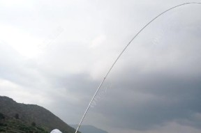 谷雨阴雨后钓鱼技巧与方法（掌握天时地利）