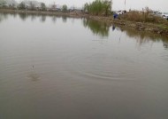河水退水钓鱼技巧有哪些？如何提高退水时的钓鱼成功率？