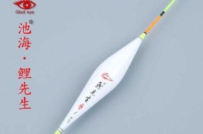 浮漂湖泊野钓技巧有哪些？如何提高钓鱼成功率？