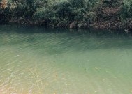 河南峡口水库钓鱼技巧有哪些？如何提高钓鱼成功率？