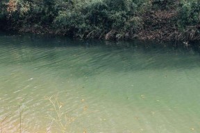 河南峡口水库钓鱼技巧有哪些？如何提高钓鱼成功率？