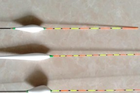 浮钓与底钓的方法和技巧是什么？如何提高钓鱼效率？