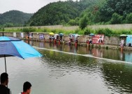 黑坑钓鱼打闭口技巧是什么？如何有效应对闭口问题？