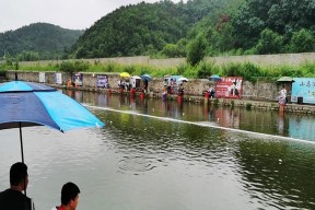 黑坑钓鱼打闭口技巧是什么？如何有效应对闭口问题？