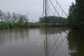 低气温阴天钓鱼的技巧（寒冷天气下的有效策略与装备选择）