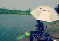 肥水塘钓鱼的5个实战小技巧是什么？如何提高钓鱼效率？