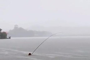 冬季钓鱼技巧教学（寒冬里钓鱼如何捕获丰收）
