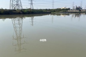 水管钓鱼技巧——轻松享受垂钓乐趣（垂钓新手必看）