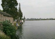 鱼塘涨水钓鱼技巧（掌握这个）