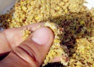 如何钓大鲫鱼？掌握这些技巧轻松钓大鲫！