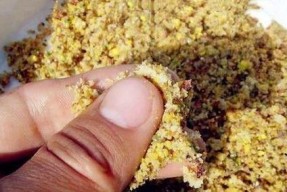 如何钓大鲫鱼？掌握这些技巧轻松钓大鲫！