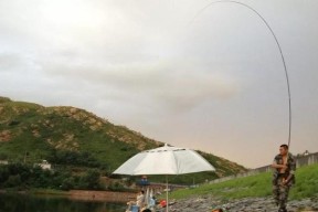 河南野钓钓点选择技巧是什么？如何找到最佳钓鱼地点？