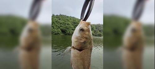 船上抛竿钓大鱼的技巧（掌握正确技巧，让你收获满满）  第3张
