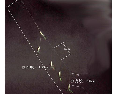掌握串钩钓鱼的技巧与要领（提升钓鱼成功率，尽在这篇指南）  第1张