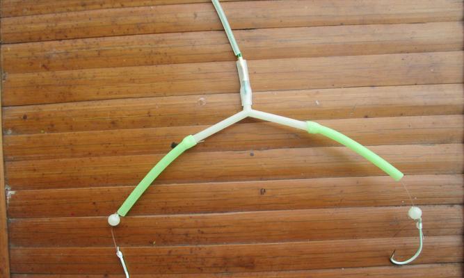 探秘挂虾钓鱼技巧（提升钓鱼效果的小窍门）  第2张