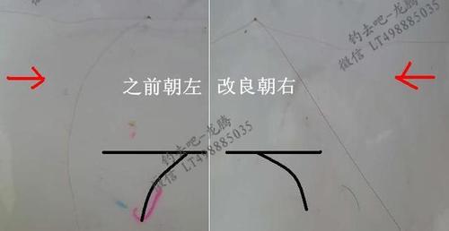 串钩双坠钓鱼技巧（提升钓鱼效果的关键技巧）  第2张