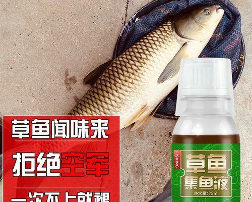 垂钓黑坑鱼池鱼饵配制技巧（专家分享，让你垂钓黑坑鱼池如虎添翼！）  第3张