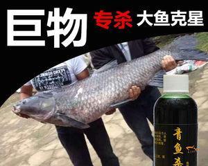 垂钓回锅青鱼的技巧和方法（捕捉回锅青鱼的秘籍，让你成为垂钓高手！）  第2张