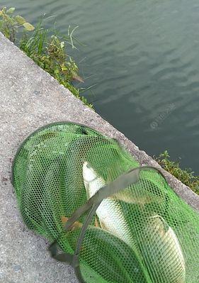 垂钓新手上路必备技巧（轻松掌握垂钓基本技能，享受钓鱼乐趣）  第2张