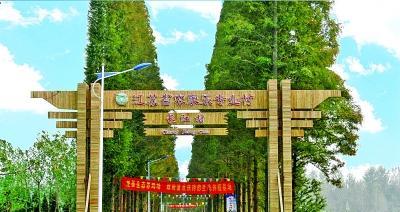 枞阳长江钓鱼技巧（探寻枞阳长江丰富钓鱼技巧，助您成为出类拔萃的钓鱼高手！）  第1张