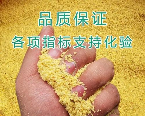 大豆钓鱼的正确方法与技巧（掌握这些关键技巧，让你的钓鱼更加成功）  第1张
