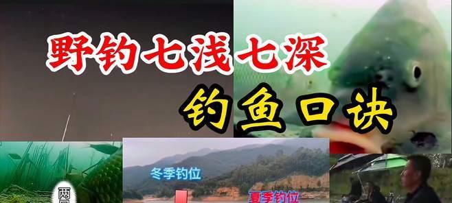 钓鱼技巧大揭秘（掌握技巧，成为钓鱼高手）  第3张