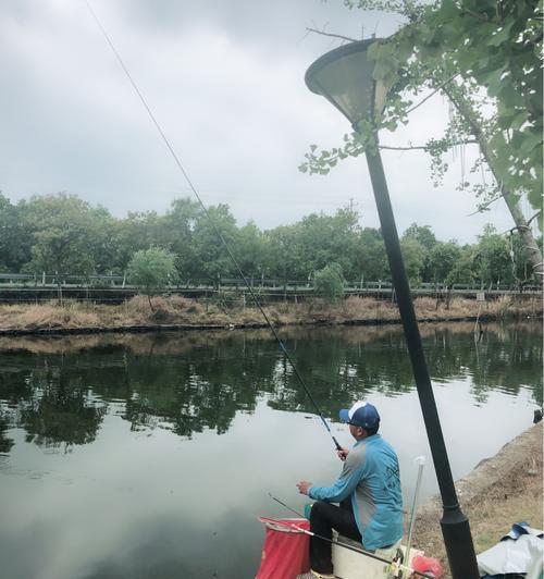 钓鱼技巧排行榜（掌握这些技巧，让你的钓鱼之旅更加成功！）  第2张