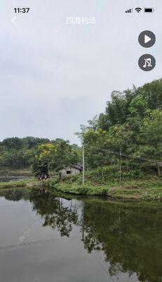 钓鱼大师的黑坑秘籍（揭秘成功钓黑坑的关键技巧与方法）  第1张