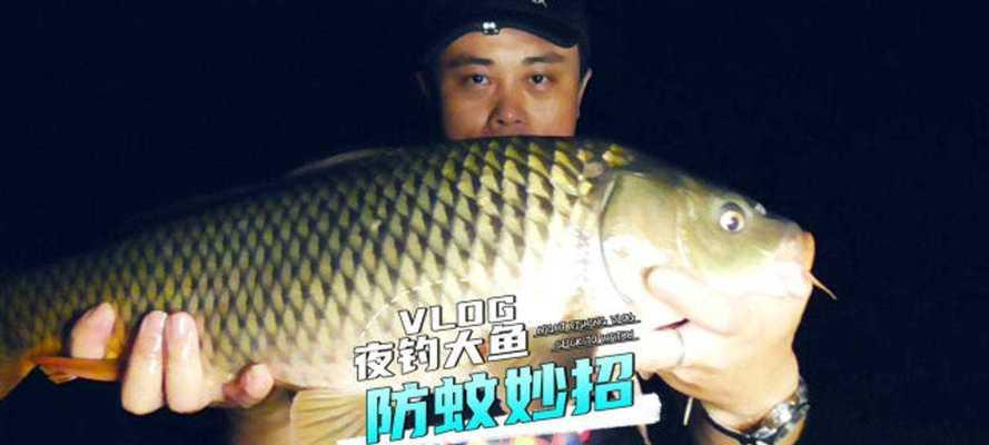 钓鱼生活小技巧（提升钓鱼技巧的十五个窍门）  第1张
