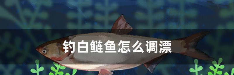 掌握钓鱼调几钓几的方法和技巧，提高钓鱼成功率（从钓位选择到调节浮漂，让你技高一筹）  第3张
