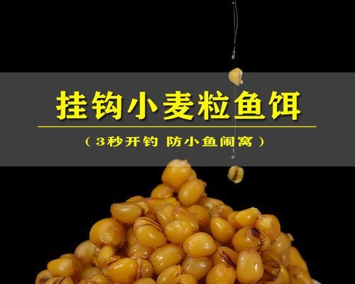 钓鱼饵挂钩技巧大揭秘（提升钓鱼成功率的关键技巧）  第1张