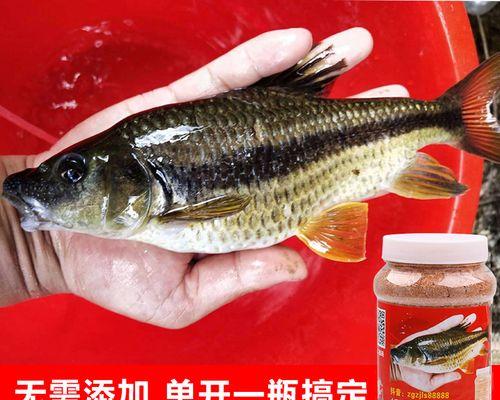 鱼饵的制作技巧与方法（打造自制鱼饵，提升钓鱼成功率）  第1张