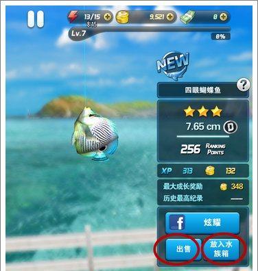 钓鱼发烧友连击高分技巧（掌握这些技巧，成为钓鱼大师！）  第2张