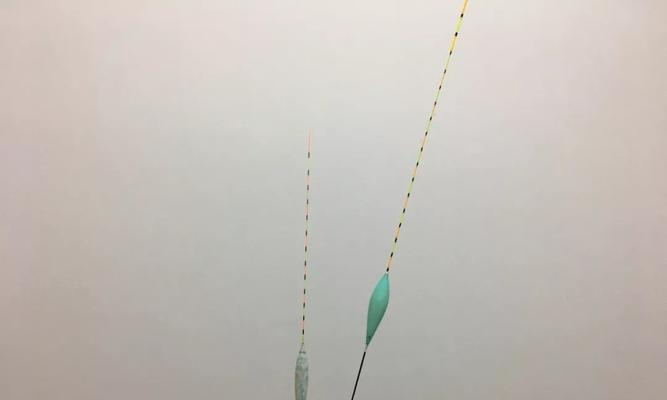 钓鱼技巧（钓鱼技巧）  第3张