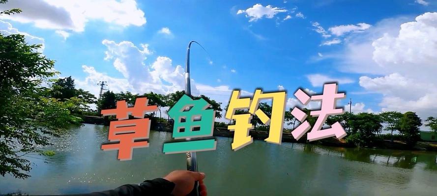 草鱼钓底还是钓浮底好？（选择合适的钓法提升草鱼钓技，底钓与浮底各有特点）  第3张