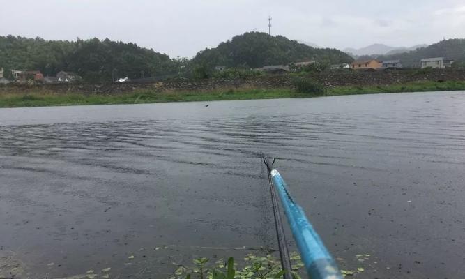 钓鱼技巧大揭秘（掌握绝佳钓点方位，收获满满渔获乐趣）  第1张
