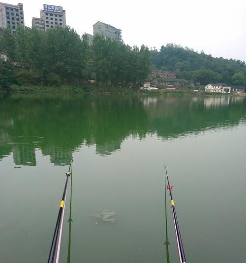 钓鱼技巧（大师教你如何在野塘中钓到丰盛的渔获）  第3张
