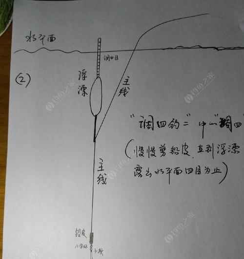 提高钓鱼技巧的调漂方法（简单有效的调漂技巧，轻松提高钓鱼水平）  第3张