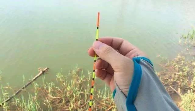 钓鱼技巧调漂几目（钓鱼技巧调漂方法分享）  第3张