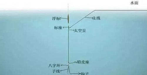 提升钓鱼技巧，调漂教程实用指南（掌握钓鱼技巧的关键，调漂教程详解）  第3张
