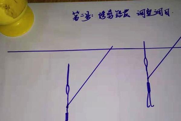钓鱼技巧大揭秘（掌握钓鱼调漂和浮漂吃铅量的绝技）  第2张