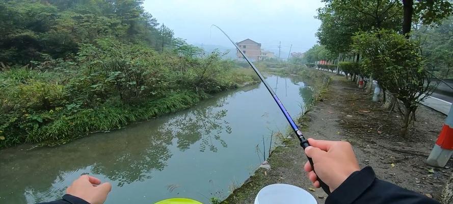 钓鱼技巧大揭秘（掌握钓鱼调漂和浮漂吃铅量的绝技）  第3张