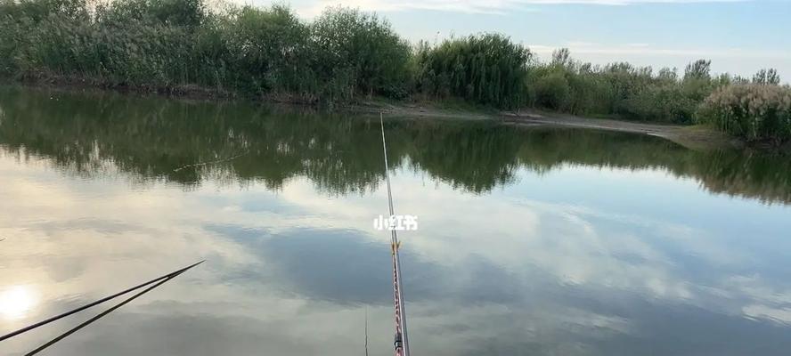 钓鱼技巧（以钓鱼技巧都一样为主题探讨如何在相似的技巧中寻找独特之处）  第1张