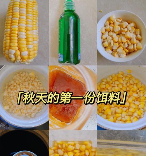 探讨钓鱼技巧中加入蜂蜜饵料的效果（提升钓鱼成功率的秘密武器）  第3张