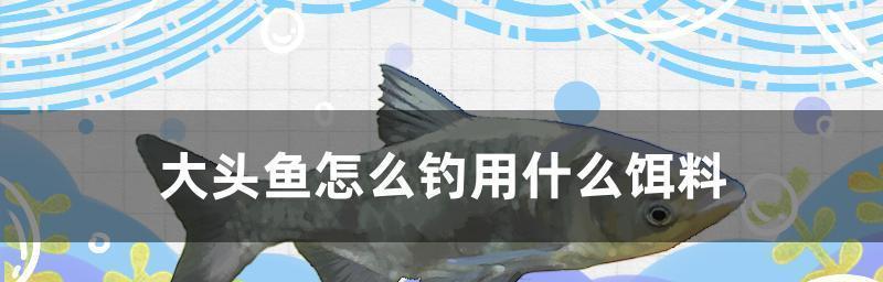 钓鱼技巧与饵料配制（提高钓鱼成功率的秘诀与方法）  第2张